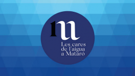 Captura de pantalla 2024-12-13 a les 10.34.48