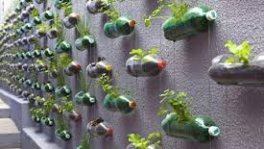 Hort Vertical