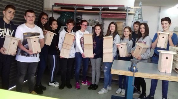 L'Institut Lluís Companys participa en un projecte d'instal·lació de caixes niu a Tordera